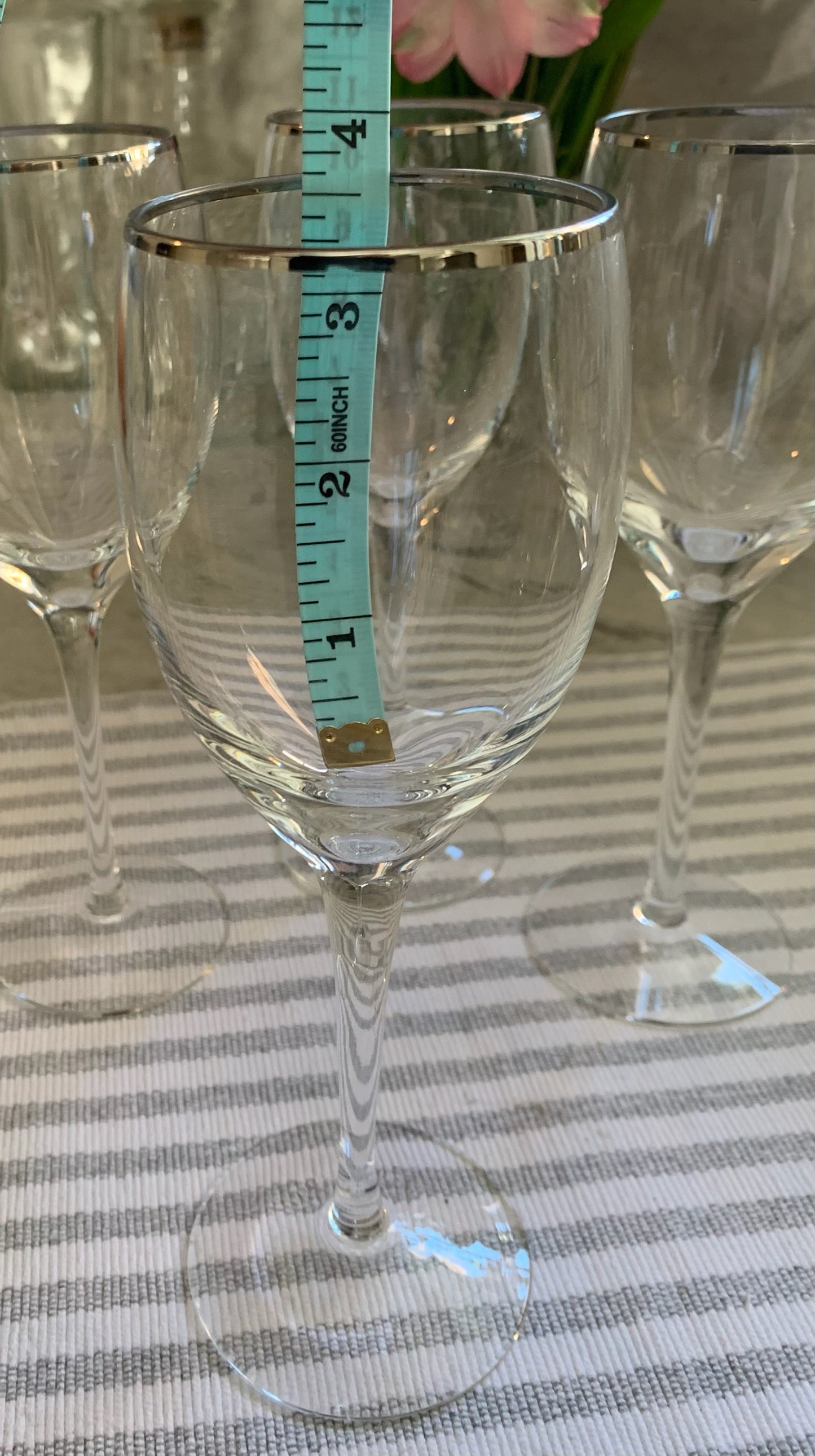 Silver Rim wine Goblet pair (OTTV 1201) sold in PAIRS