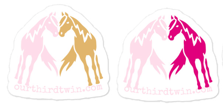 STICKER FOR DONATION TO BELIEVE RANCH & RESCUE FUNDRAISER