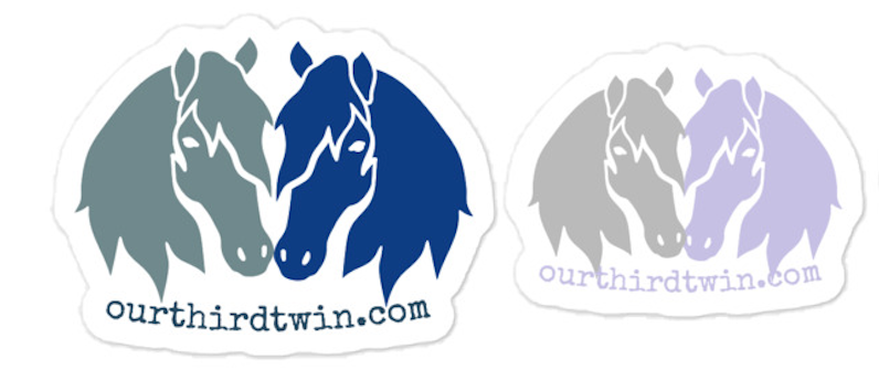 STICKER FOR DONATION TO BELIEVE RANCH & RESCUE FUNDRAISER